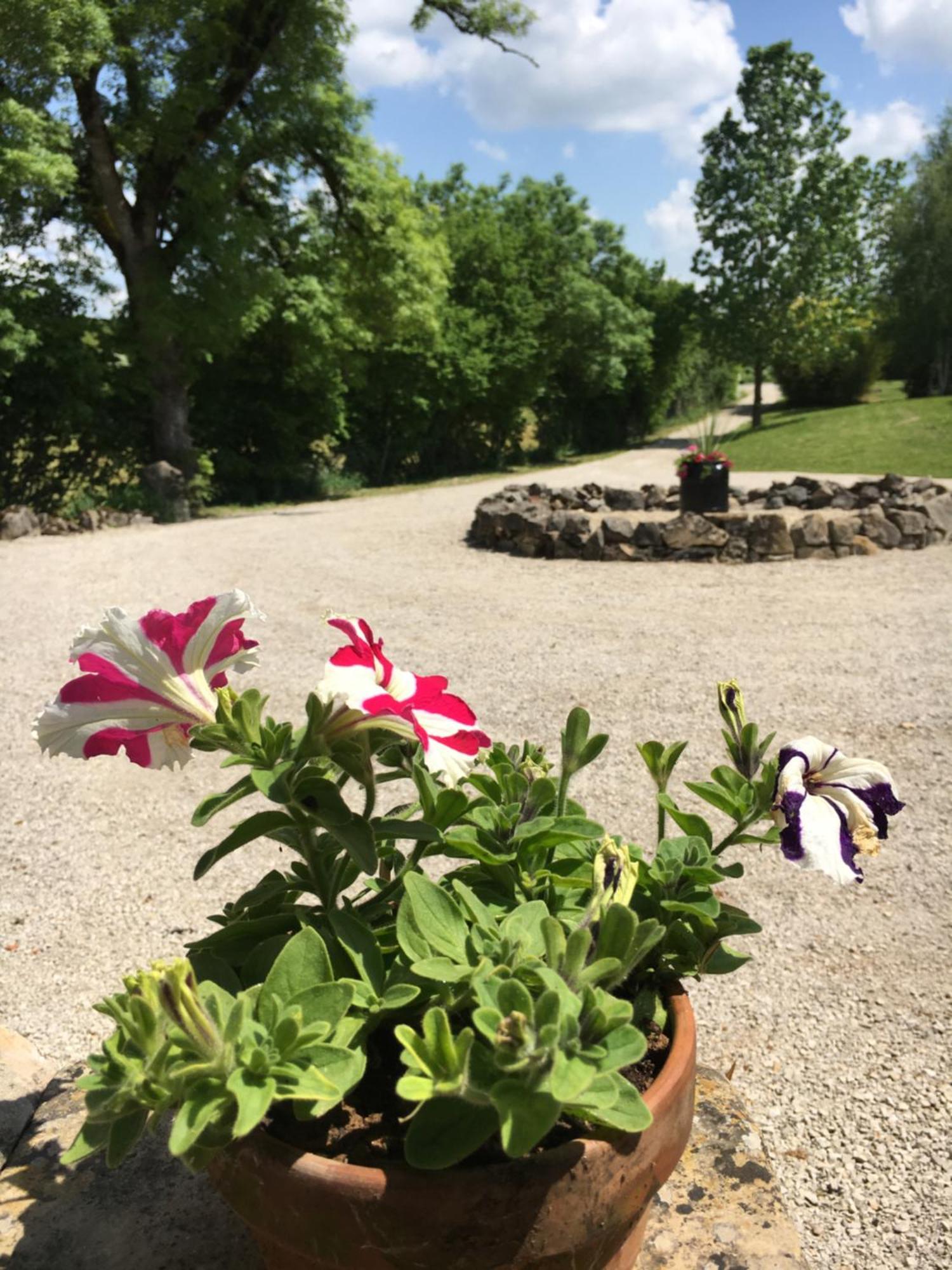 Coutillard Parisot  외부 사진